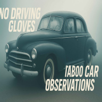 Taboo Car Observations 404