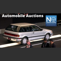 Automotive Auctions 199