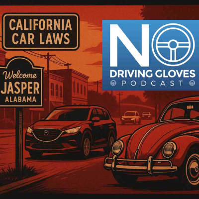 No Driving Gloves