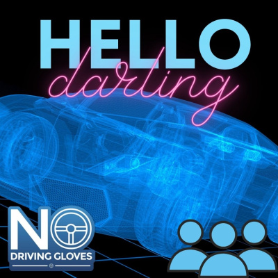 No Driving Gloves