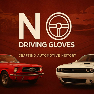 No Driving Gloves
