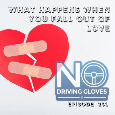 No Driving Gloves