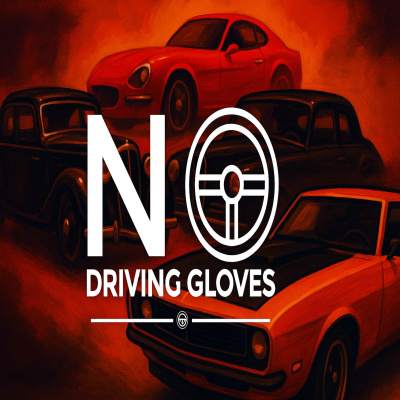 No Driving Gloves
