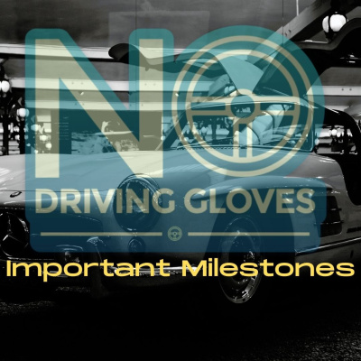 No Driving Gloves