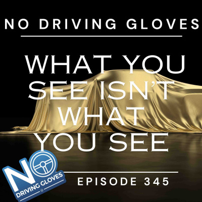 No Driving Gloves