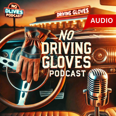 No Driving Gloves