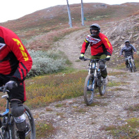 Cyklar utför och samlar som ekorren