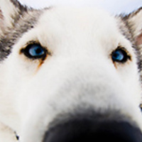 Fjällradio del 4, 20110804 1103, 20110804 2003