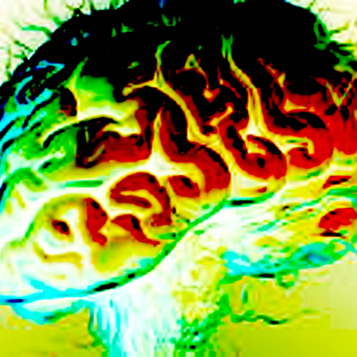 Great Question With Alex Fleming