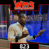 Wresting Mayhem Show 823: Most Fashionable