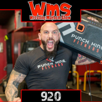 Wresting Mayhem Show 920: The Punchiest