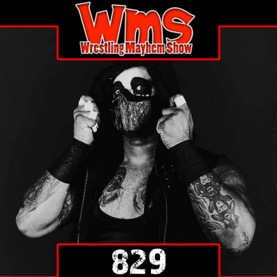 Sorgatron Media Master Feed