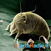 La Sfinge. Un racconto di Edgar Allan Poe. Traduzione di Cesare Giombetti