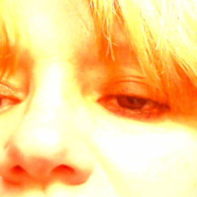 Alla Più Bella, Nascita E Sorte Della Città Di Troia