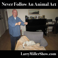 Never Follow An Animal Act
