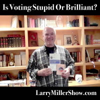 Is Voting Stupid or Brilliant?