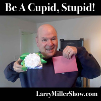 Be A Cupid, Stupid!