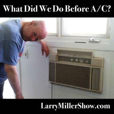 Larry Miller Show