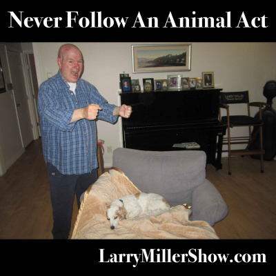 Larry Miller Show