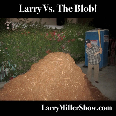 Larry Miller Show