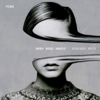 Vins - Deep Soul Magic #029