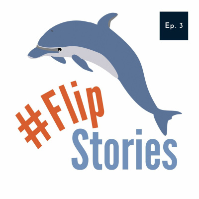 Flip Stories