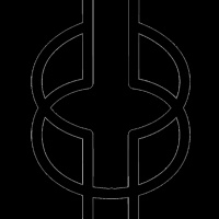 Introduction to Meaning in the Multiverse