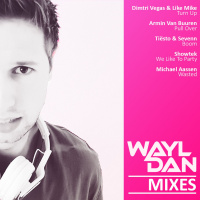 WAYLDAN | BOOTLEG | MIXES