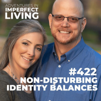 ADV #422: Non-Disturbing Identity Balances