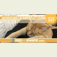 ADV #247: Cat Not Included