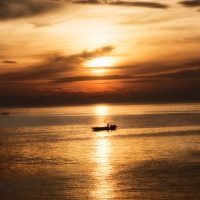 The Life/Death/Life Cycle