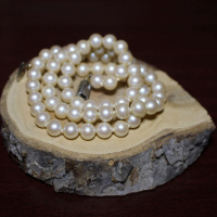 The Pearl and the Oyster