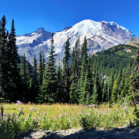 Seeing Things as They Really Are