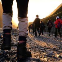 Stepping Toward Unity