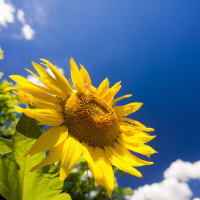 How to Survive as an Empath, Right Now