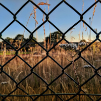 Whats the Boundary of Your Identity?