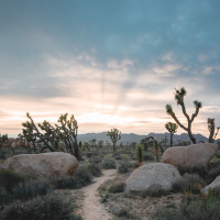 Liberation Allegories