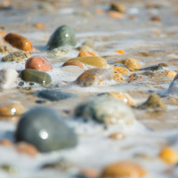 Gratitude for What Is