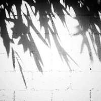 Sometimes Darkness is Illuminating