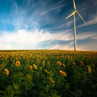 The Divine Beloved is the Source for All