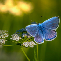 A Portal of Transformation