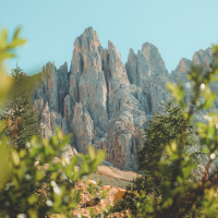 What a Difference a Day Makes