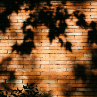 Diving for the Light