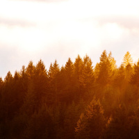 Living Our Way into Answers