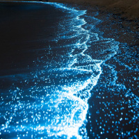 How Much Joy Can You Let In?