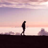 Walking with Wise Ones