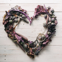 This Life Belongs to Love