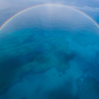 The Beauty in the Climate Tragedy