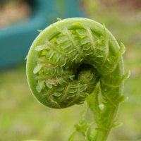 The Future Unfolding