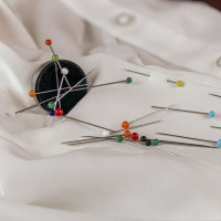 The Needle and the Magnet